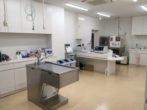 タバサ動物病院処置室2